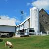 Amish Farm and House