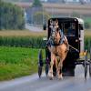 The Amish Experience at Plain & Fancy Farm