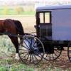 Old Order Amish Tours