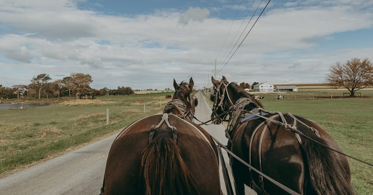 Where to Ride a Horse & Buggy in Lancaster County, PA | Discover Lancaster | Discover Lancaster