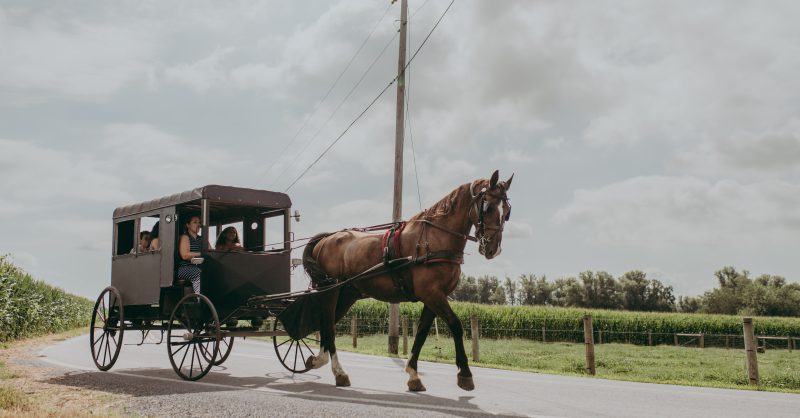 Ride a Horse Buggy in Lancaster PA Discover Lancaster
