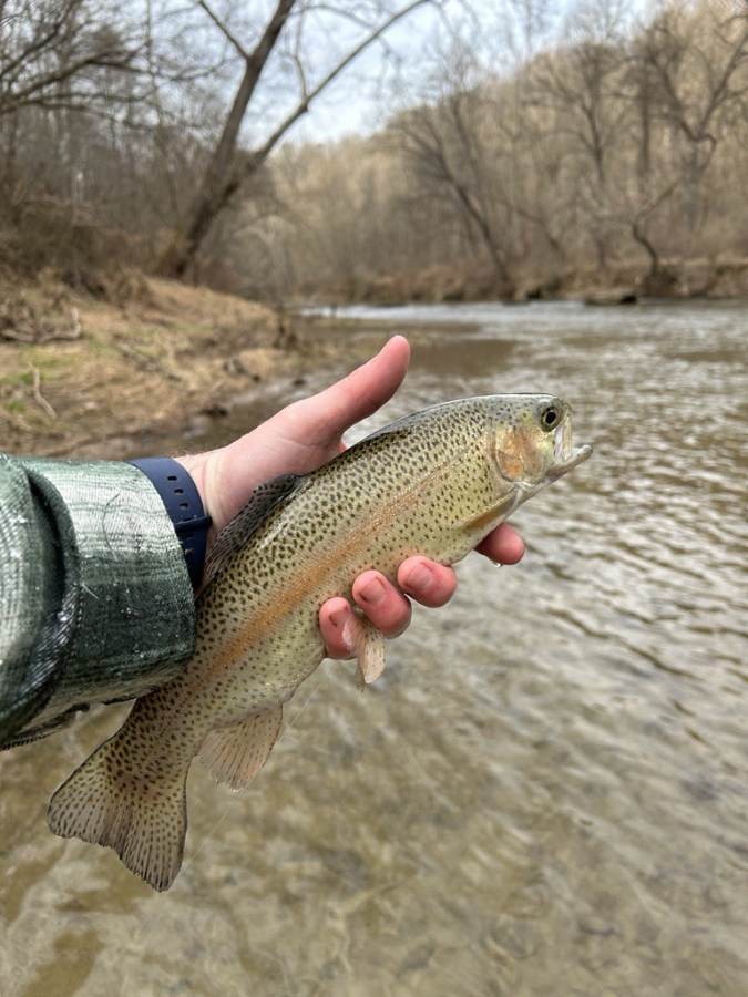 Places to Fish in Lancaster