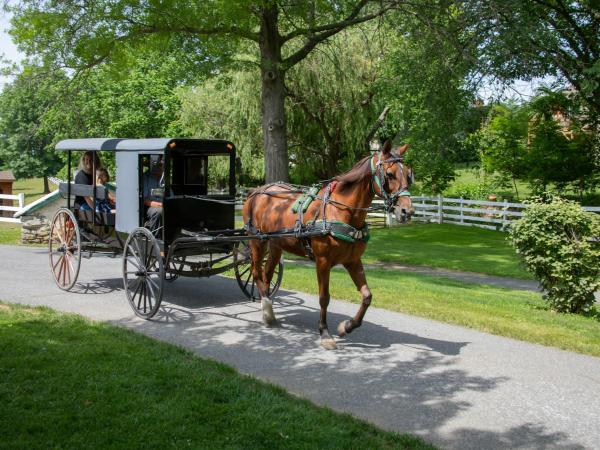 a family rides in an Amish horse-drawn buggy through farmland on an Amish tour in Lancaster, PA