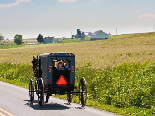 a Buggie passes farmlands in Lancaster County
