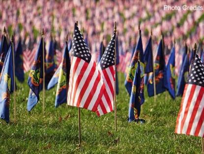 Rows of American flags on a grassy field.