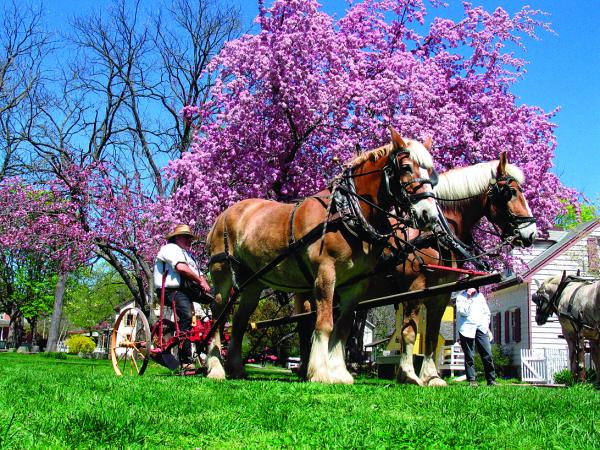 For an authentic immersion in early Pennsylvania German life (1740-1940), visit Landis Valley Village & Farm Museum.