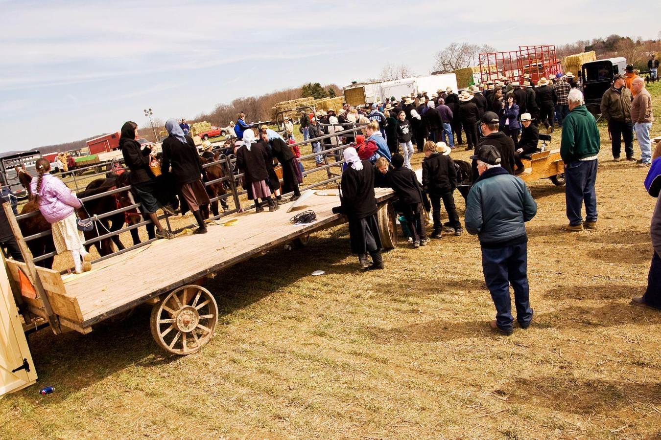 Amish Mud Sales 2024 in Lancaster, PA Discover Lancaster